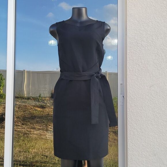 BRAND NEW TALBOTS PETITES ELEGANT BOAT SLEVELESS DRESS - Picture 10 of 16